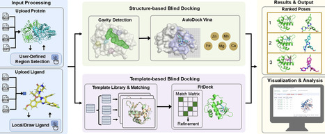 CB-Dock3: an enhanced web server for protein&ndash;ligand blind docking | nar | RMH | Scoop.it