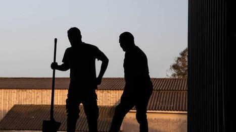 Retraite des agriculteurs&nbsp;: les 25&nbsp;ann&eacute;es les plus avantageuses seront prises en compte - Ouest France [Abonn&eacute;s] | Agriculture en Pays de la Loire | Scoop.it
