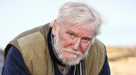 The Freedom Tree by Dermot Healy | The Irish Literary Times | Scoop.it