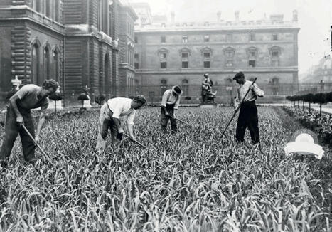 [Article] Réintégrer l’agriculture en ville | ESPACES VEGETALISES URBAINS | Scoop.it
