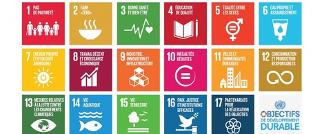 Lancement du Guide "Entreprises, contribuez aux Objectifs de Développement Durable !" | GREENEYES | Scoop.it