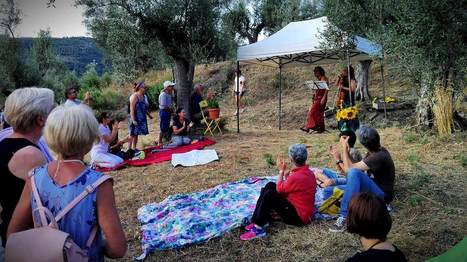 Rencontrez les start-ups du centre de l'ITALIE qui font revivre les oliveraies abandonnées | CIHEAM Press Review | Scoop.it