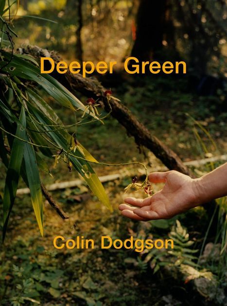 Deeper Green Biodegradable Belize Book | Cayo Scoop!  The Ecology of Cayo Culture | Scoop.it