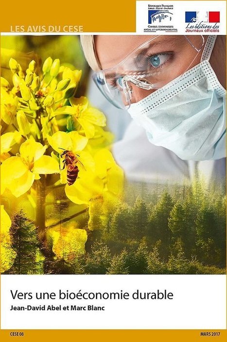 Vers une bioéconomie durable | DURABILITES | Scoop.it