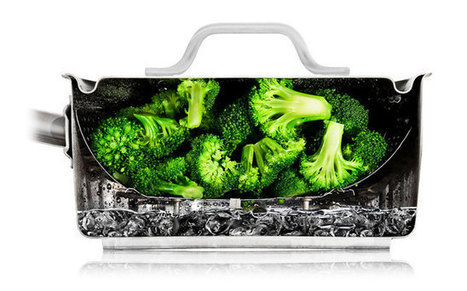 Nathan Myhrvold's 'Modernist Cuisine' photography exhibit comes to the Tech | Modernist Cuisine | Scoop.it