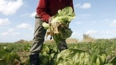 Une association pour les agriculteurs victimes des pesticides - Société - Nouvelobs.com | Toxique, soyons vigilant ! | Scoop.it