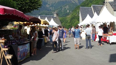 Festival Nature à Aulon le 9 août : sauvons notre climat et notre biodiversité | Vallées d'Aure & Louron - Pyrénées | Scoop.it