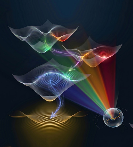 Reassessing Carotenoid Photophysics: Shedding Light on Dark States. | I2BC Paris-Saclay | Scoop.it