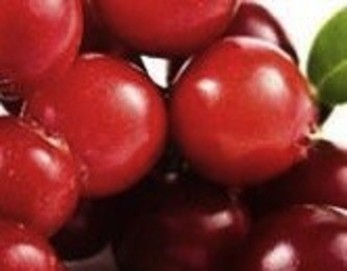 ORAC's tarnished reputation doesn't diminish polyphenols' health benefits, expert says | Longevity science | Scoop.it