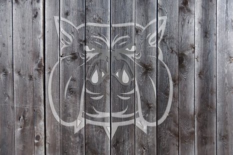 WordPress-Sicherheitsrisiko durch veraltete Plugins | public practice | Wordpress-Webdesign | Scoop.it