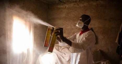 Des moustiques OGM contre le paludisme : le projet qui fait débat au Burkina | Variétés entomologiques | Scoop.it