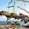 RAF Museum's delight as World War II Dornier 17 bomber is rescued | Culture24 | Archaeology News | Scoop.it