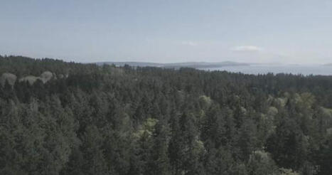 Nanaimo First Nation sends strongly worded letter to city over proposed development&nbsp; | Indigenous Stories and Education | Scoop.it
