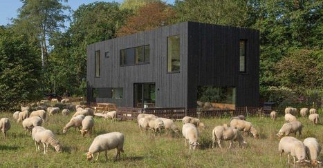 Cette maison hollandaise préfabriquée à façade en bois vieillie s'affirme audacieusement | Build Green, pour un habitat écologique | Scoop.it