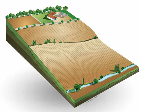 L'Agroforesterie en 10 questions - Association Française d'agroforesterie | Paysage - Agriculture | Scoop.it