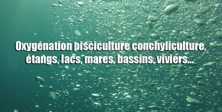 Oxygénation pisciculture conchyliculture | Actualités, Communiqués Presse, Nouveautés, Infos... | Scoop.it