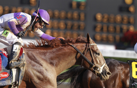 Hype, but no hero; to inspire public, racing must spotlight horses | Racing Business | Scoop.it