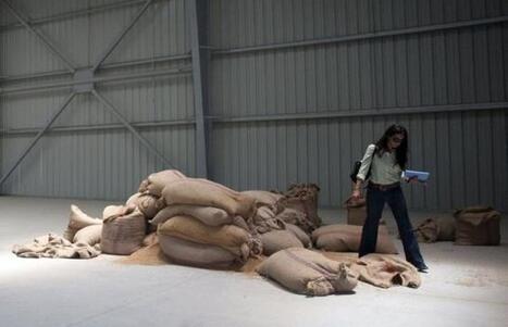 Egypt confounds wheat thieves with hi-tech U.S. storage | MED-Amin network | Scoop.it