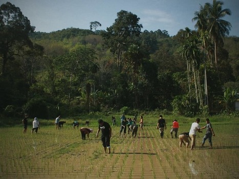 MALAYSIA: Local farmers, local food: A gathering of passionate natural farming advocates in Malaysia | SRI Global News ++ March - May 2025    System of Rice Intensification (SRI) | Scoop.it
