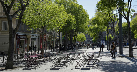 Dans les grandes villes, plus de deux arbres sur trois sont menacés par le réchauffement climatique | Confort d'été | Scoop.it