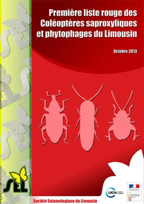 SAPROX » Liste Rouge des Coléoptères saproxyliques et phytophages du Limousin | Insect Archive | Scoop.it
