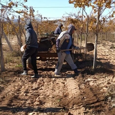 ALGERIE : Le Rocher &ndash; Sidi Bel-Abb&egrave;s : l&rsquo;eau us&eacute;e comme nouvelle ressource | CIHEAM Press Review | Scoop.it