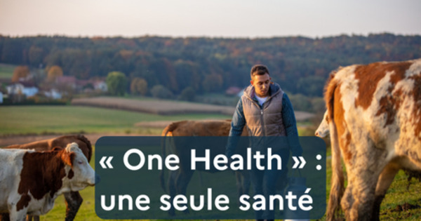 One Health : l&rsquo;approche globale &laquo; Une seule sant&eacute; &raquo; | CREADOC Nice | Scoop.it