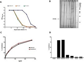 A Human Monoclonal Antibody against Hepatitis B Surface Antigen with Potent Neutralizing Activity | Immunology and Biotherapies | Scoop.it