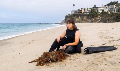 An Orange County marine biologist wants to weed the ocean to help kelp grow – | Coastal Restoration | Scoop.it