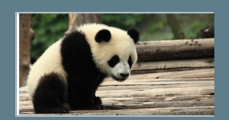 Guinea Worm Attacks! Fake News, Website Evaluation, and Critical Thinking | Digital Literacy in the Library | Scoop.it