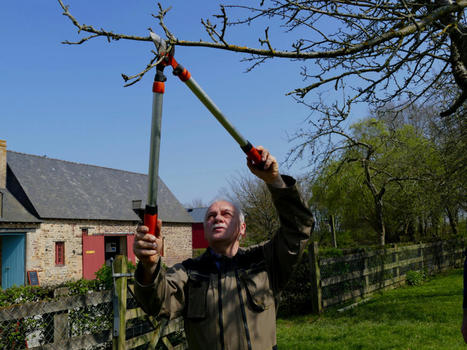 Entretien du verger | R&eacute;seau Patrimoine du Vivant et Ecologie par Mus&eacute;e du Vivant - AgroParisTech | Scoop.it