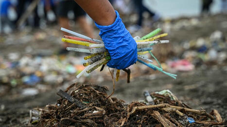 Traité mondial contre la pollution plastique : on vous explique les enjeux autour des négociations | Biodiversité | Scoop.it