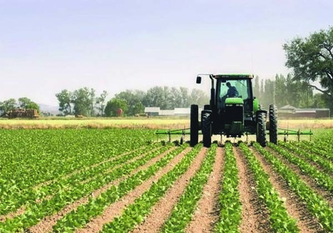 Tunisie : L'Italie vient en aide aux promoteurs agricoles - www.webdo.tn | Espace Méditerranéen : géopolitique, coopération... | Scoop.it