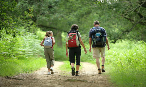 Qui sont les touristes du Parc ? / Actus du Parc Naturel Régional des Landes de Gascogne | Landes | Scoop.it