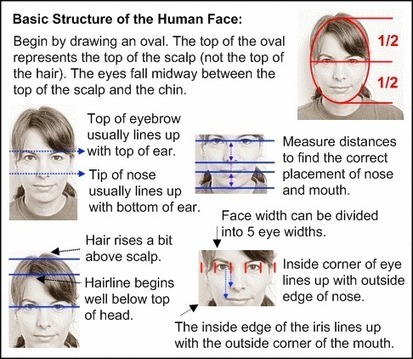 Create a Face: Human Face Proportions and Portrait Drawing Video | Drawing and Painting Tutorials | Scoop.it