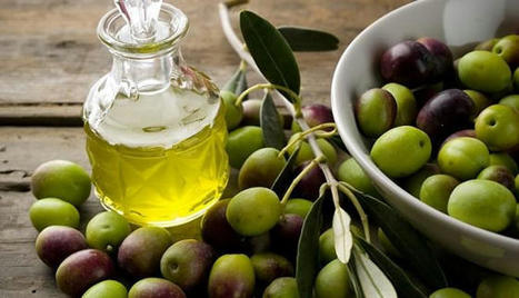 TUNISIE : Hausse de 69% de la valeur des exportations de l'huile d'olive | CIHEAM Press Review | Scoop.it