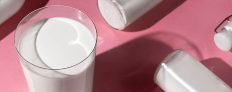 Satiété : une nouvelle voie pour l’améliorer | Actalia Innovation | AGROALIMENTAIRE | Scoop.it