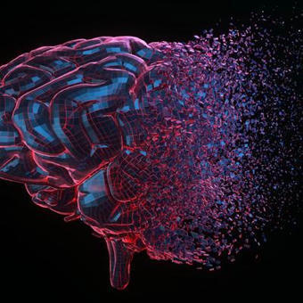 SANTE : La dénutrition, une crise silencieuse qui menace notre cerveau | ALIMENTATIONS | Scoop.it