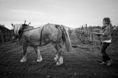 Jocelyne P&eacute;cou revient &agrave; la terre | Cheval et Nature | Scoop.it