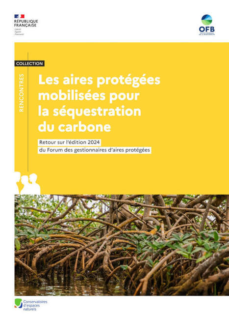 Les aires protégées mobilisées pour la séquestration du carbone. Retour sur l'édition 2024 du Forum des gestionnaires d'aires protégées  | Biodiversité | Scoop.it