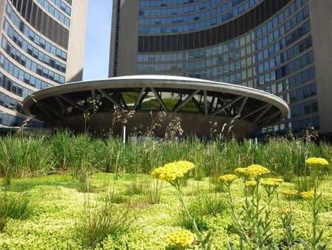 Green roofs make happier, more productive workers | Trade unions and social activism | Scoop.it