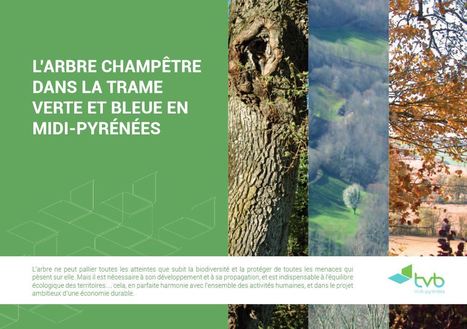 [Document PDF] L’arbre champêtre dans la trame verte et bleue en Midi-Pyrénées | Insect Archive | Scoop.it