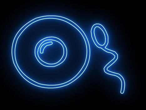 Projection-d&eacute;bat : Starbuck (2017) ; parlons du don de gam&egrave;tes | Bio&eacute;thique & Procr&eacute;ation | Scoop.it