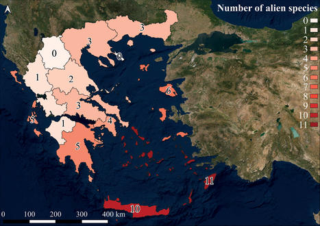 De nouvelles fourmis invasives en Grèce selon Demetriou et al (2023) | EntomoNews | Scoop.it