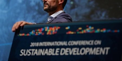 Directeur développement durable : la voie royale pour devenir directeur général ? | Innovation, Développement Durable, RSE | Scoop.it