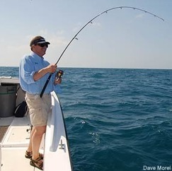 Overfishing 101 - Pew Environment Group | OUR OCEANS NEED US | Scoop.it