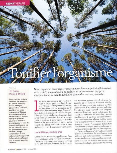 Aromathérapie «Tonifier l’organisme »   | La Cabane aux Arômes | Scoop.it