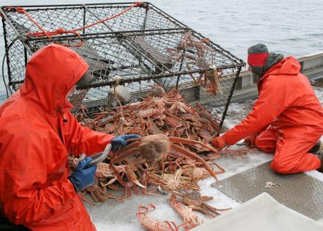 UNITED STATES: NOAA, six stocks rebuilt in 2012, more work to do | Coastal Restoration | Scoop.it