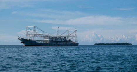 Le trait&eacute; historique de protection sur la haute mer entrera en vigueur le 17 janvier: que pr&eacute;voit-il? | Plan&egrave;te DDurable | Scoop.it