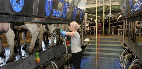 Lait : L’EMB veut relever le prix d’intervention | Lait de Normandie... et d'ailleurs | Scoop.it